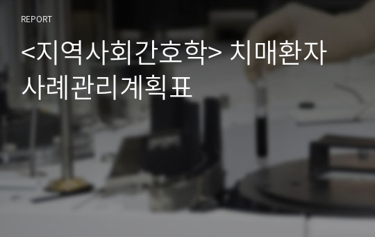 &lt;지역사회간호학&gt; 치매환자 사례관리계획표