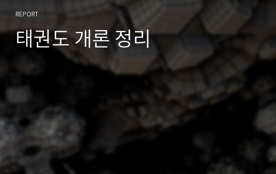 태권도 개론 정리