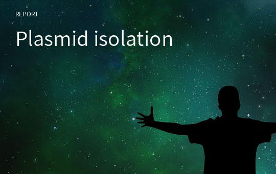 Plasmid isolation