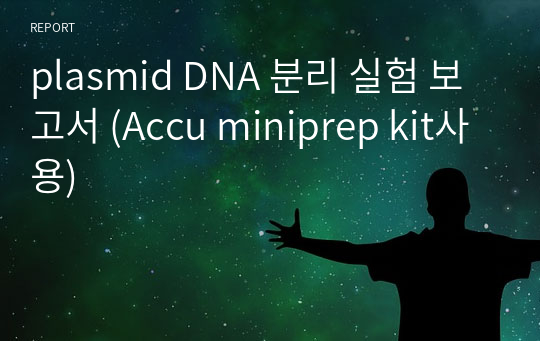 plasmid DNA 분리 실험 보고서 (Accu miniprep kit사용)