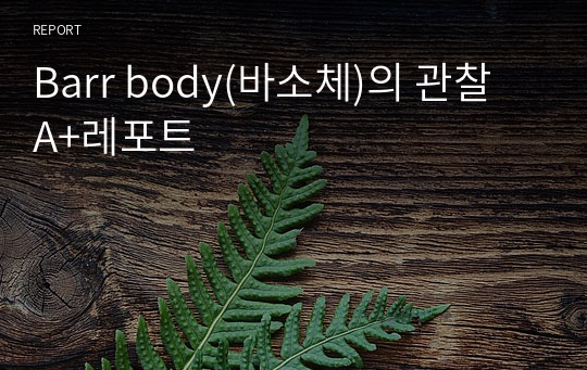 Barr body(바소체)의 관찰 A+레포트