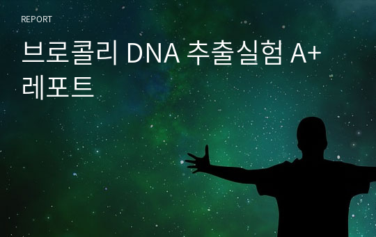 브로콜리 DNA 추출실험 A+ 레포트