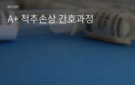 A+ 척추손상 간호과정