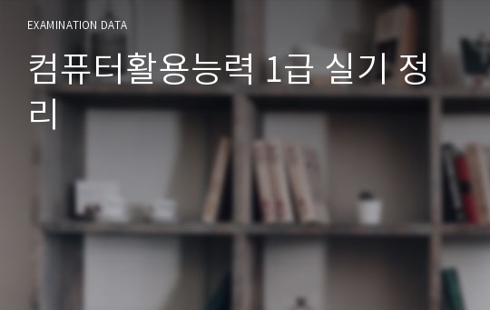 컴퓨터활용능력 1급 실기 정리