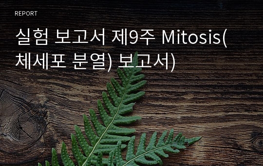 실험 보고서 제9주 Mitosis(체세포 분열) 보고서) 