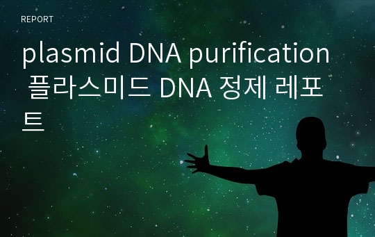 plasmid DNA purification 플라스미드 DNA 정제 레포트