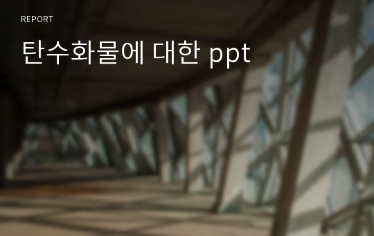 탄수화물에 대한 ppt