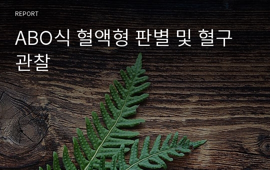 ABO식 혈액형 판별 및 혈구관찰