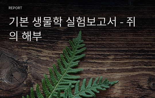 기본 생물학 실험보고서 - 쥐의 해부