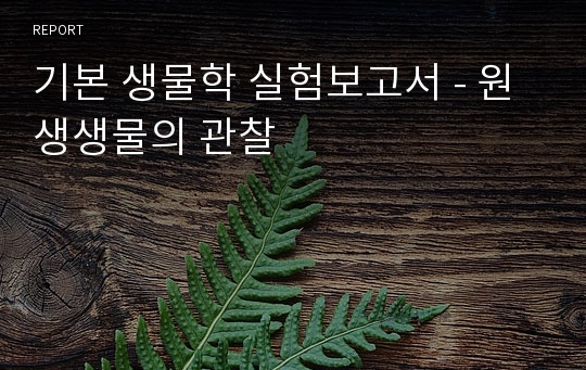 기본 생물학 실험보고서 - 원생생물의 관찰