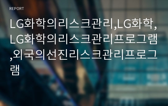 LG화학의리스크관리,LG화학,LG화학의리스크관리프로그램,외국의선진리스크관리프로그램