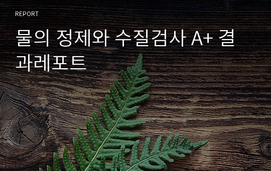 물의 정제와 수질검사 A+ 결과레포트