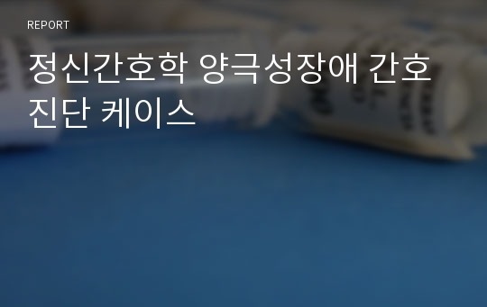 정신간호학 양극성장애 간호진단 케이스