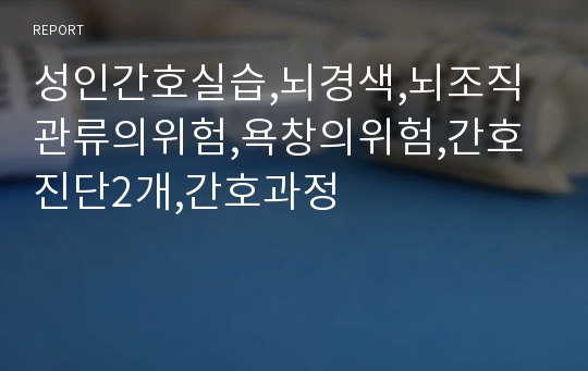 성인간호실습,뇌경색,뇌조직관류의위험,욕창의위험,간호진단2개,간호과정