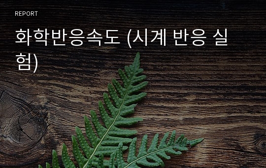 화학반응속도 (시계 반응 실험)