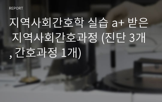 지역사회간호학 실습 a+ 받은 지역사회간호과정 (진단 3개, 간호과정 1개)