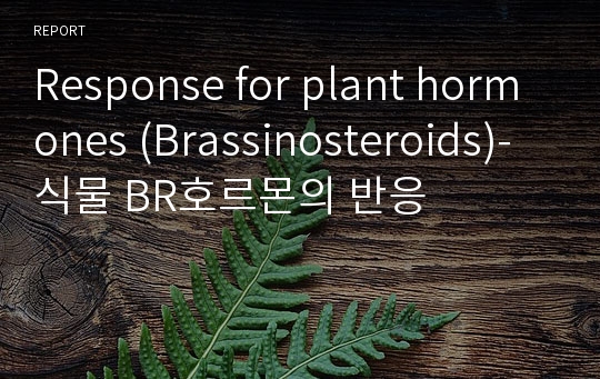 Response for plant hormones (Brassinosteroids)-식물 BR호르몬의 반응