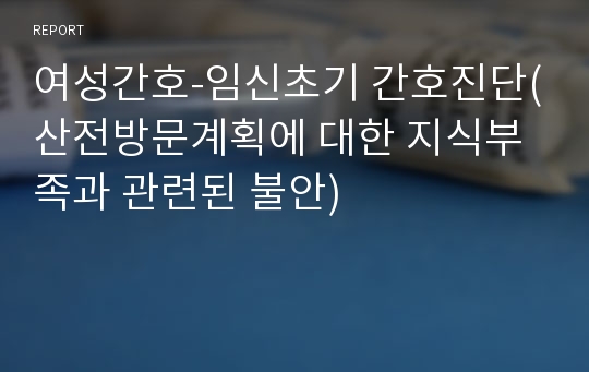 여성간호-임신초기 간호진단(산전방문계획에 대한 지식부족과 관련된 불안)