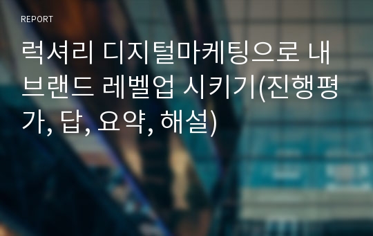 럭셔리 디지털마케팅으로 내 브랜드 레벨업 시키기(진행평가, 답, 요약, 해설)