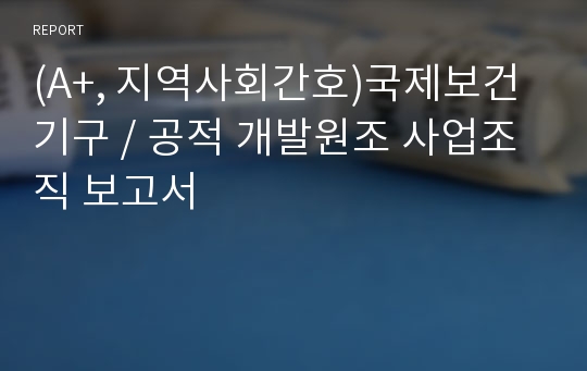 (A+, 지역사회간호)국제보건기구 / 공적 개발원조 사업조직 보고서