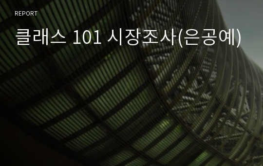 클래스 101 시장조사(은공예)