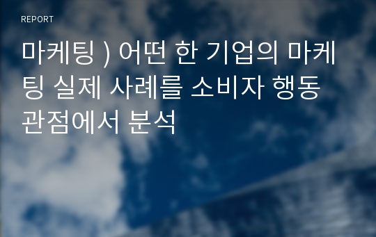 마케팅 ) 어떤 한 기업의 마케팅 실제 사례를 소비자 행동 관점에서 분석