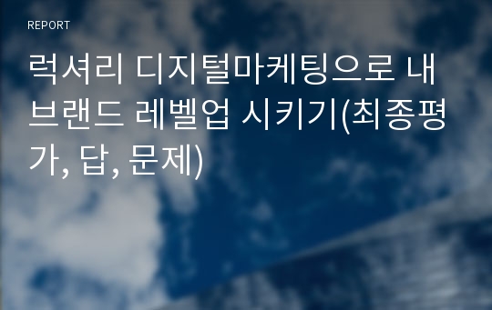 럭셔리 디지털마케팅으로 내 브랜드 레벨업 시키기(최종평가, 답, 문제)