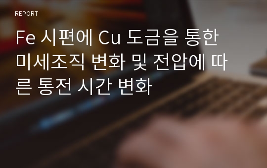 Fe 시편에 Cu 도금을 통한 미세조직 변화 및 전압에 따른 통전 시간 변화