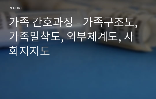 가족 간호과정 - 가족구조도, 가족밀착도, 외부체계도, 사회지지도