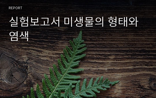 실험보고서 미생물의 형태와 염색