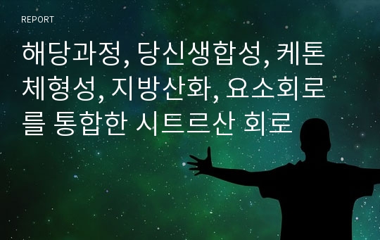 해당과정, 당신생합성, 케톤체형성, 지방산화, 요소회로를 통합한 시트르산 회로