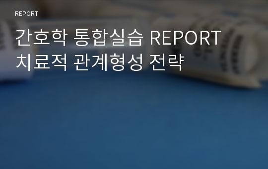 간호학 통합실습 REPORT 치료적 관계형성 전략