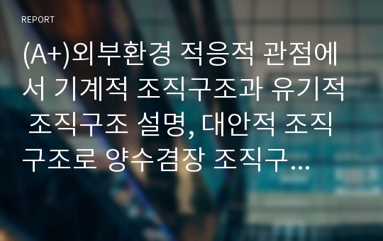 (A+)외부환경 적응적 관점에서 기계적 조직구조과 유기적 조직구조 설명, 대안적 조직구조로 양수겸장 조직구조 설명