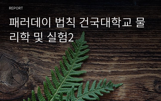 패러데이 법칙 건국대학교 물리학 및 실험2