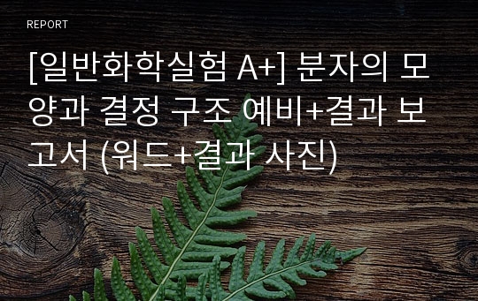 [일반화학실험 A+] 분자의 모양과 결정 구조 예비+결과 보고서 (워드+결과 사진)