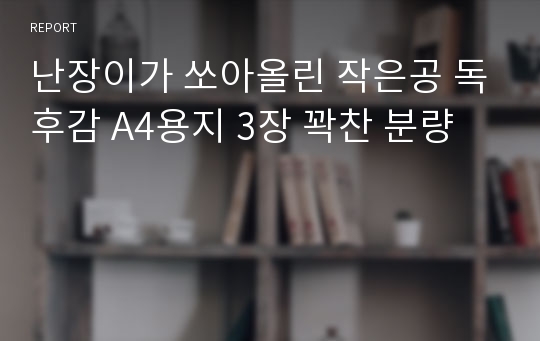 난장이가 쏘아올린 작은공 독후감 A4용지 3장 꽉찬 분량