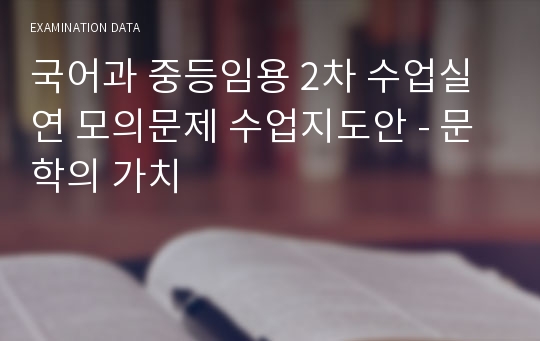 국어과 중등임용 2차 수업실연 모의문제 수업지도안 - 문학의 가치