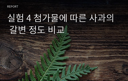 실험 4 첨가물에 따른 사과의 갈변 정도 비교