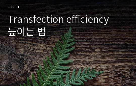 Transfection efficiency 높이는 법