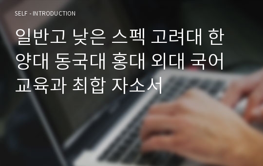 일반고 낮은 스펙 고려대 한양대 동국대 홍대 외대 국어교육과 최합 자소서