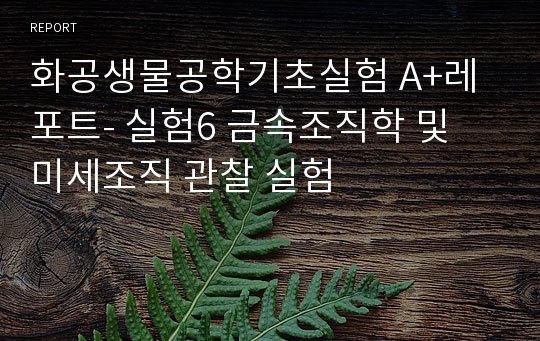 화공생물공학기초실험 A+레포트- 실험6 금속조직학 및 미세조직 관찰 실험