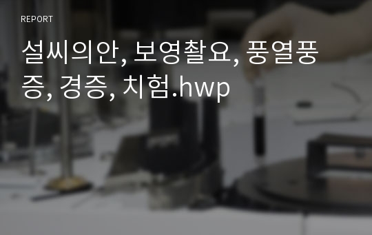 설씨의안, 보영촬요, 풍열풍증, 경증, 치험.hwp