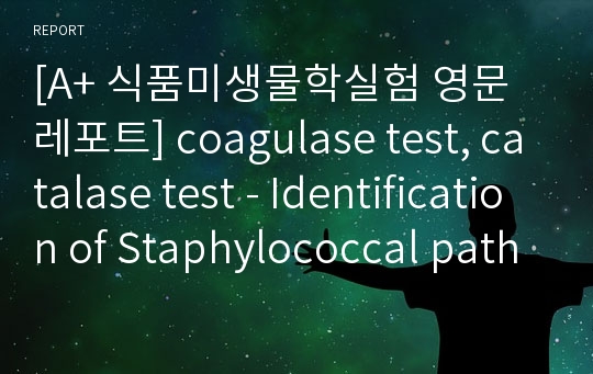 [A+ 식품미생물학실험 영문레포트] coagulase test, catalase test - Identification of Staphylococcal pathogen