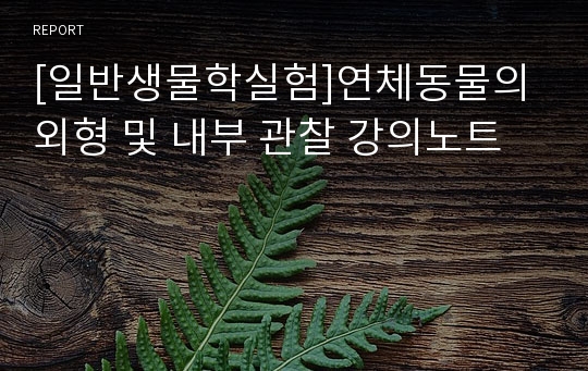 [일반생물학실험]연체동물의 외형 및 내부 관찰 강의노트