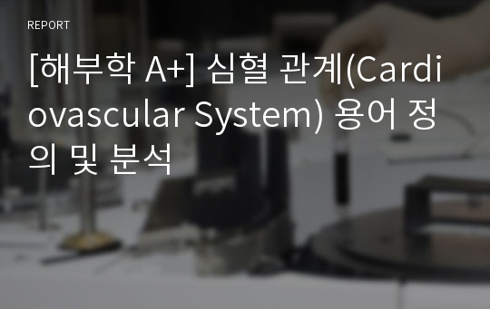 [해부학 A+] 심혈 관계(Cardiovascular System) 용어 정의 및 분석