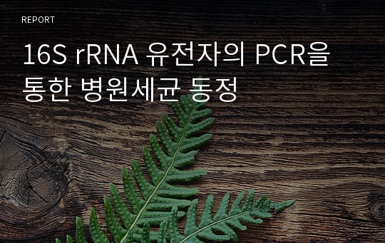 16S rRNA 유전자의 PCR을 통한 병원세균 동정
