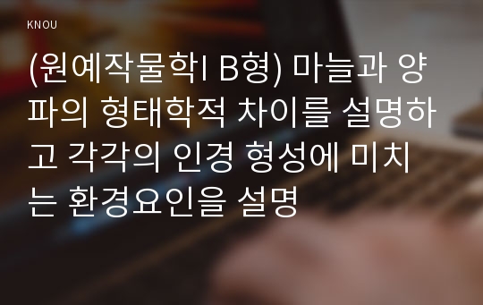 (원예작물학I B형) 마늘과 양파의 형태학적 차이를 설명하고 각각의 인경 형성에 미치는 환경요인을 설명