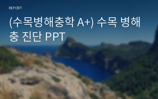 (수목병해충학 A+) 수목 병해충 진단 PPT