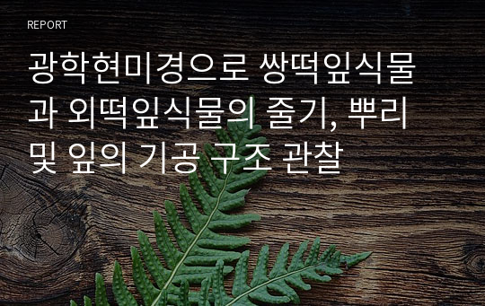 광학현미경으로 쌍떡잎식물과 외떡잎식물의 줄기, 뿌리 및 잎의 기공 구조 관찰