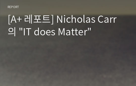 [A+ 레포트] Nicholas Carr의 &quot;IT does Matter&quot;